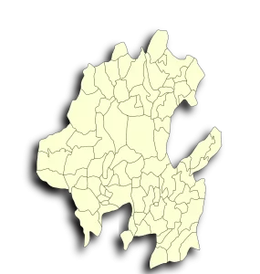 Renta de Excavadoras en Hidalgo méxico